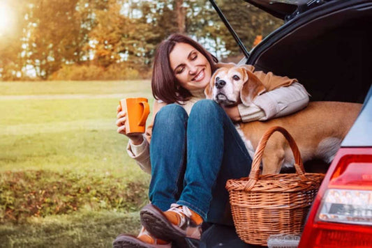 Traveling with Dogs: Must-Have Pet Travel Accessories
