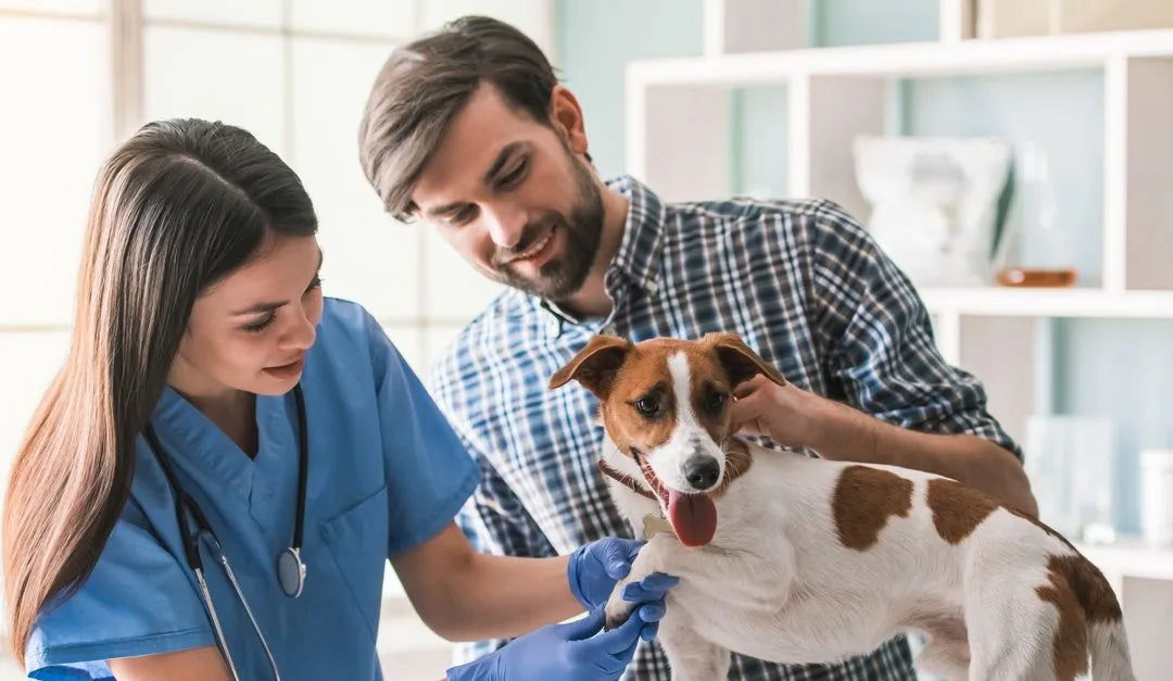 Pet Health Care