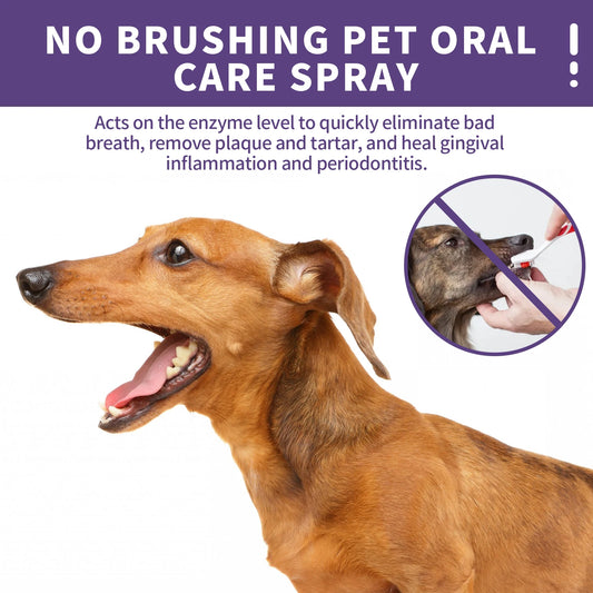 Yegbong Pet Dental Care Spray – Removes Plaque & Eliminates Bad Breath