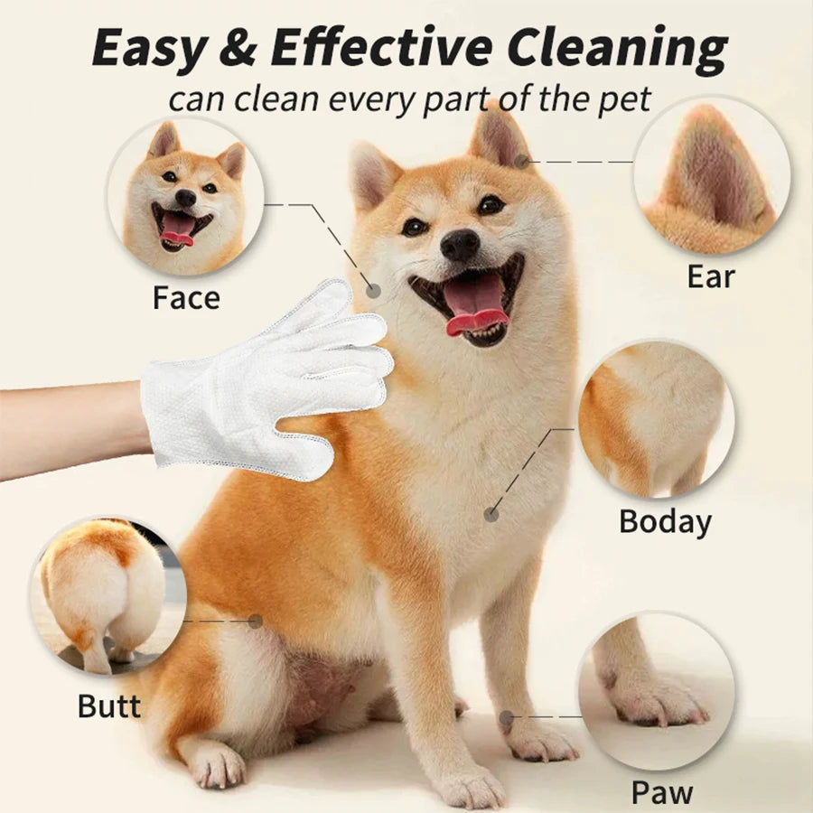 Daily Care Pet Wipes Gloves – Dog & Cat Grooming