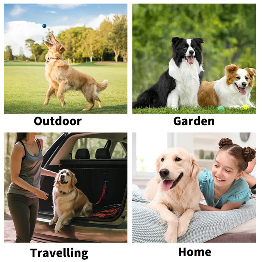 Daily Care Pet Wipes Gloves – Dog & Cat Grooming