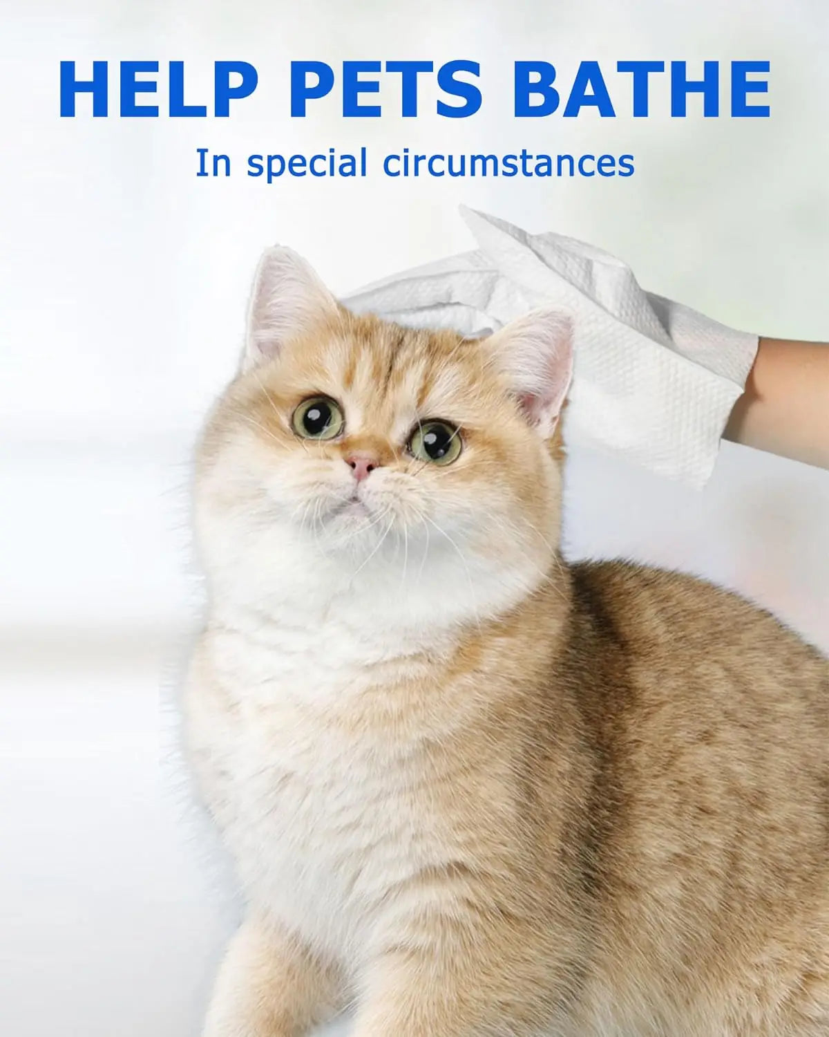 Daily Care Pet Wipes Gloves – Dog & Cat Grooming