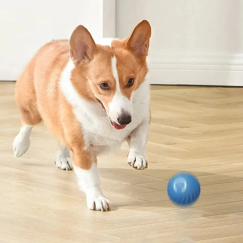 Automatic Moving Dog Toy Ball – Smart Interactive Play Ball for Cats & Dogs