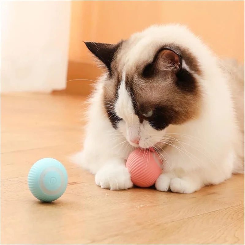 Automatic Moving Dog Toy Ball – Smart Interactive Play Ball for Cats & Dogs